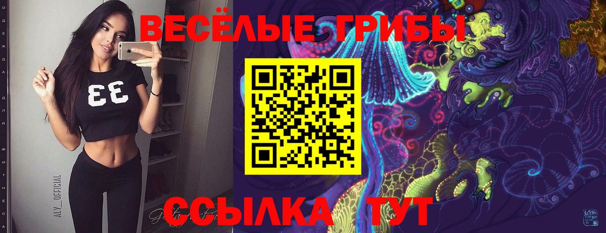 Псилоцибиновые грибы Psilocybine cubensis  Галлюциногенные грибы Psilocybine cubensis  Янаул  Вход с VPN 